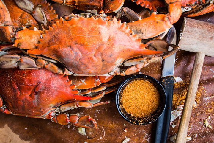 Photo Caption: The South Jersey Seafood & Music Festival returns to Washington Lake Park in Sewell Saturday with food, live music and family attractions.