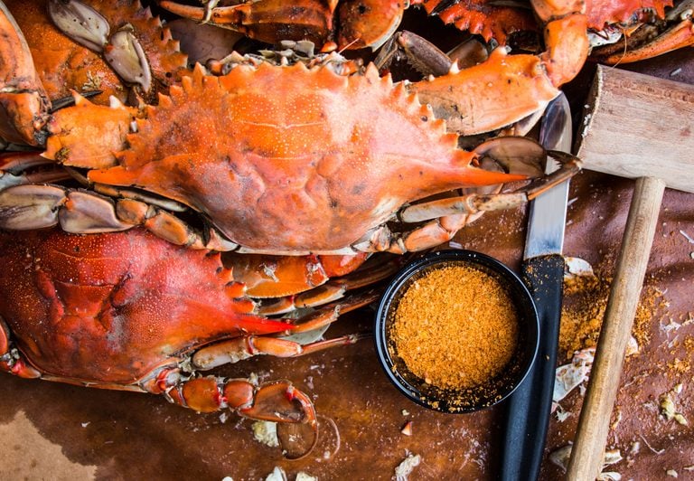 South Jersey Seafood & Music Festival Brings Food, Live Music to Sewell Saturday