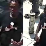 Police are searching for a suspect accused of slashing a 29-year-old man in the neck during a daytime attack in the Bronx before fleeing on foot.
