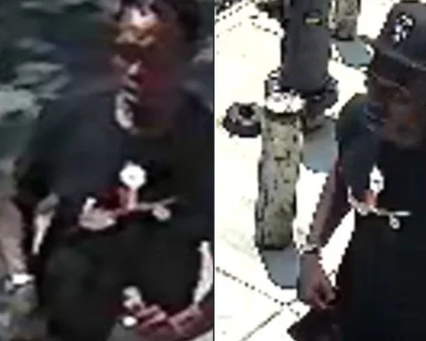 Police are searching for a suspect accused of slashing a 29-year-old man in the neck during a daytime attack in the Bronx before fleeing on foot.