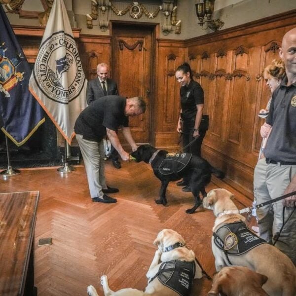 Yonkers police department welcomes first facility k9s to support crime victims and officer wellness Yonkers police department welcomes first facility k9s to support crime victims and officer wellness