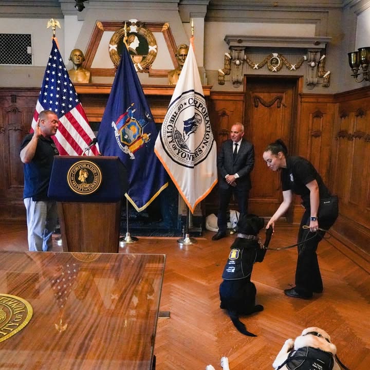 Yonkers police department welcomes first facility k9s to support crime victims and officer wellness Yonkers police department welcomes first facility k9s to support crime victims and officer wellness