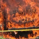 Firefighters battle a multi-vehicle fire after a fallen tree limb brought down power lines at The Grand Apartments in Cherry Hill, leaving residents without electricity.