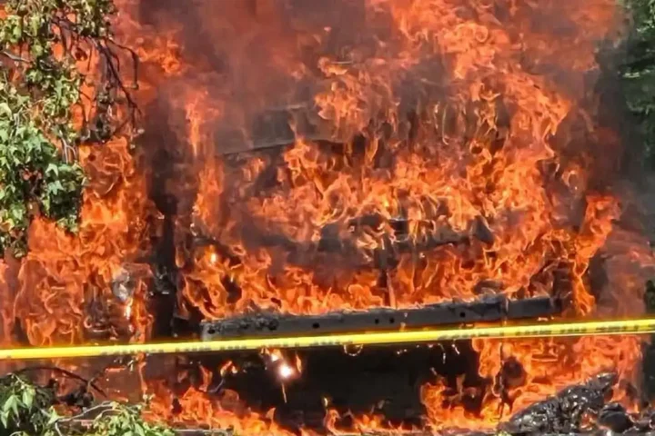 Tree limb brings down power lines, sparks multi-vehicle fire at cherry hill apartment complex