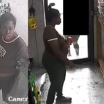 Nypd seeks suspect after woman robbed on bronx subway platform