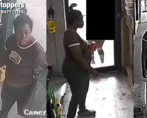 On Wednesday, August 5, 2026, at approximately 1145 hours, a 61-year-old female victim was standing on the northbound “D” train platform of the 170 Street subway station when an unidentified individual forcibly removed the victim’s purse, - NYPD Crimestoppers