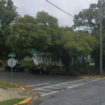Mount rainier delays removal of historic elm tree after residents object