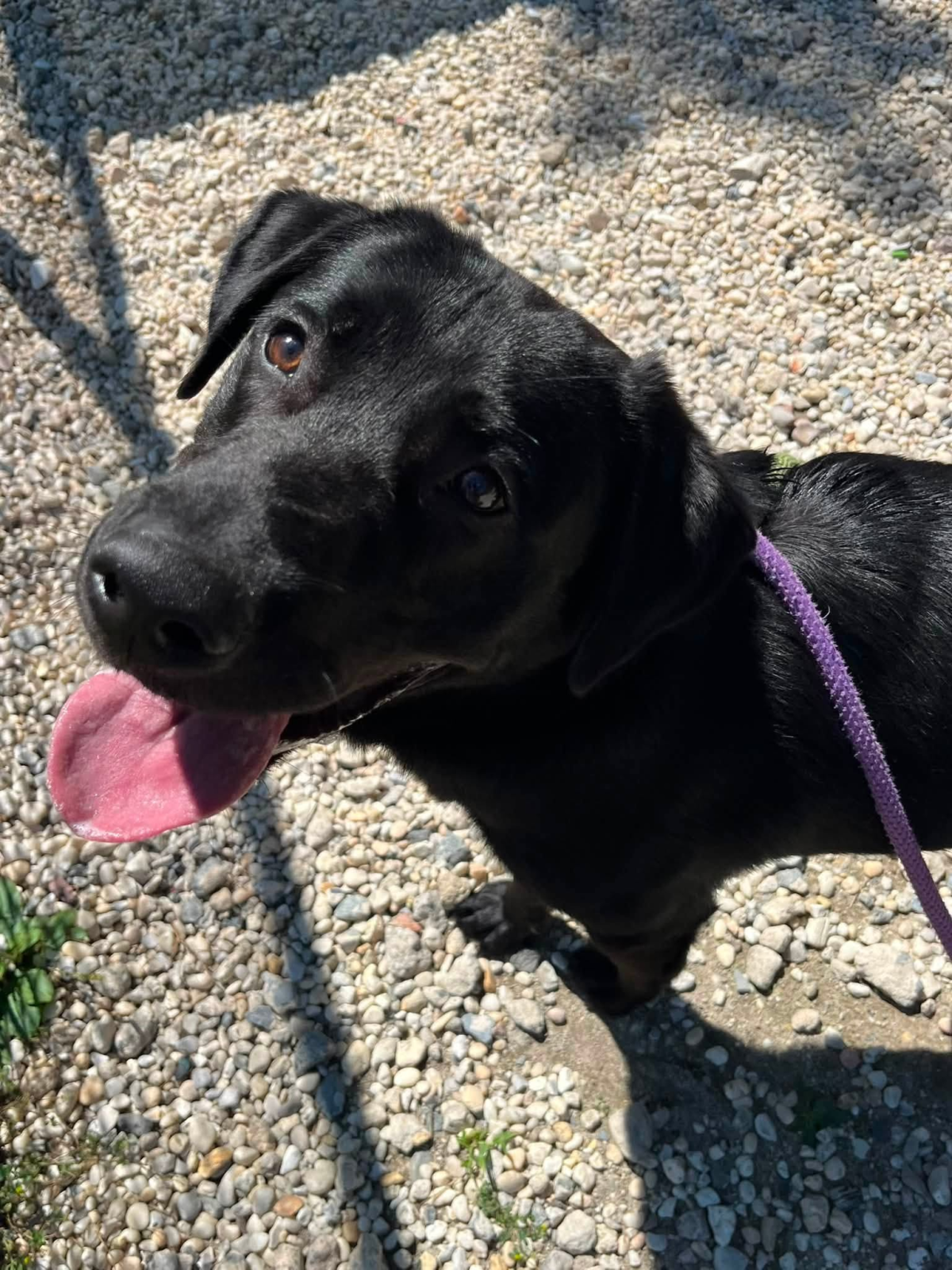 Murphy keeps learning new tricks but finding someone to love is the lesson he needs most Murphy keeps learning new tricks but finding someone to love is the lesson he needs most