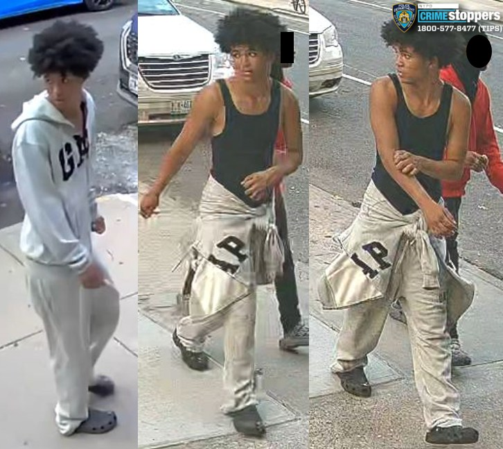 Necklace ripped from 81-year-old woman’s neck in nyc street snatch Necklace ripped from 81-year-old woman’s neck in nyc street snatch