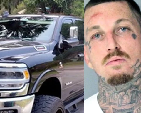 Police arrested a wanted Florida man after an overnight manhunt that began when he allegedly crashed a pickup truck into a utility pole and fled through Oakland.