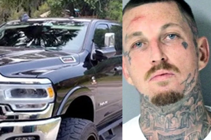 Police arrested a wanted Florida man after an overnight manhunt that began when he allegedly crashed a pickup truck into a utility pole and fled through Oakland.