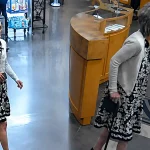 Erie Police are seeking a woman accused of wearing a wig as a disguise during an Aug. 11 theft and fraud incident on East 38th Street.