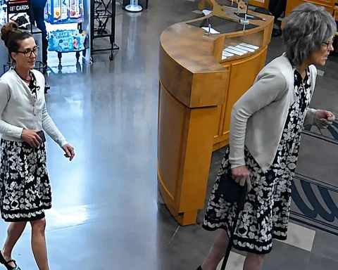Erie Police are seeking a woman accused of wearing a wig as a disguise during an Aug. 11 theft and fraud incident on East 38th Street.