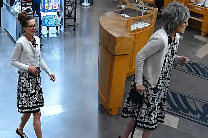 Erie Police are seeking a woman accused of wearing a wig as a disguise during an Aug. 11 theft and fraud incident on East 38th Street.