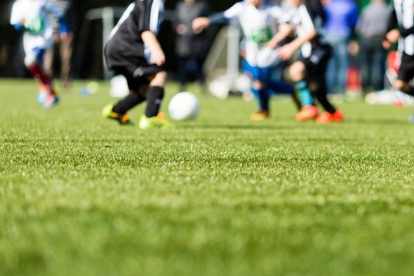 New Jersey lawmakers are advancing a bill that would prohibit future Green Acres grants and loans from paying to install or replace artificial turf fields.