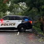 Downed trees and wires close roads in atlantic highlands as police warn of live lines