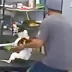 Peekskill man charged with animal cruelty after dogtopia video, spca says