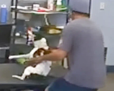 A Peekskill man faces an animal cruelty charge after video allegedly showed him slamming a senior dog onto a grooming table at Dogtopia in Mount Kisco.