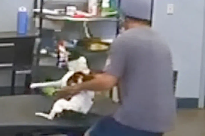 Peekskill man charged with animal cruelty after dogtopia video, spca says
