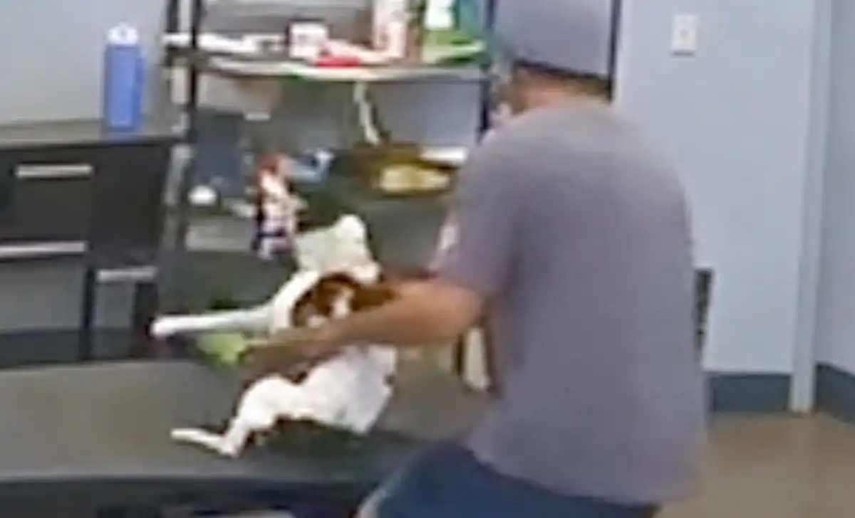 A peekskill man faces an animal cruelty charge after video allegedly showed him slamming a senior dog onto a grooming table at dogtopia in mount kisco.