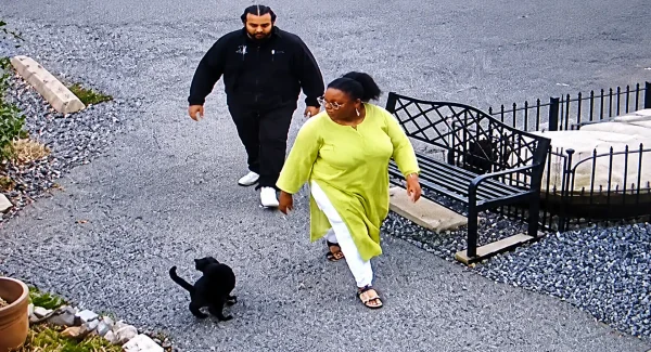 Police are asking for the public’s help after a dog was taken during a break-in at the allegany county animal shelter.