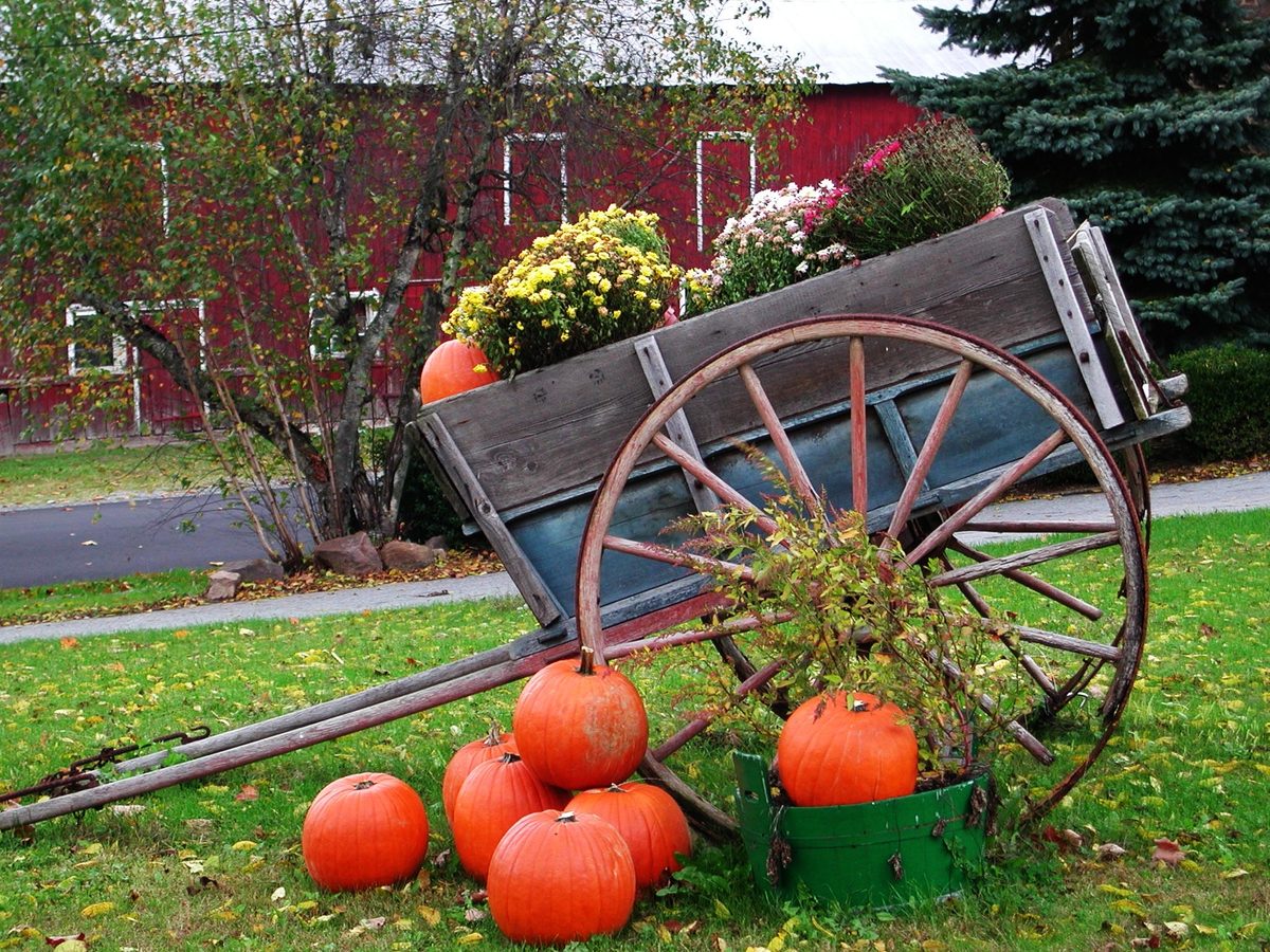 Fall Colors in New Jersey. Local farm stand captures the Autumn season. Photo by Rod Chronister