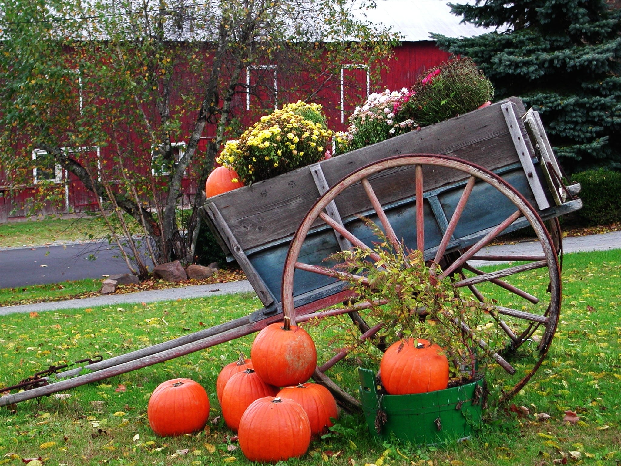 Rain, Clouds and Cool Temperatures Settle Over New Jersey Through Sunday as Fall Settles In