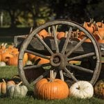 Toms river launches new rockin’ fall fest this weekend at winding river park
