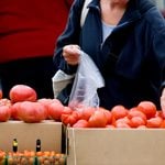 Farmers markets bloom across new jersey as september harvest season arrives