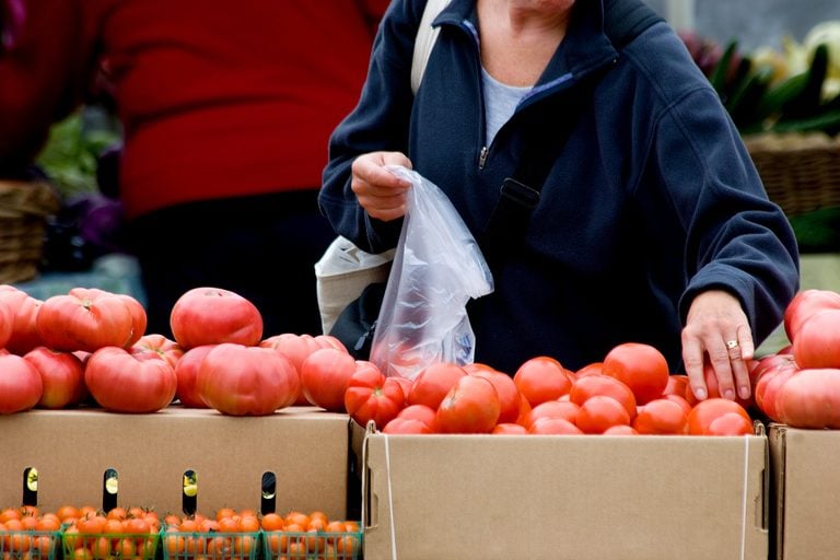 Farmers Markets Bloom Across New Jersey as September Harvest Season Arrives