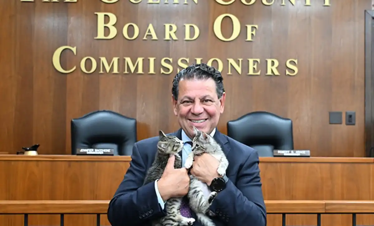 Ocean county eyes countywide tnr program as feral cat colonies grow in jackson Ocean county eyes countywide tnr program as feral cat colonies grow in jackson