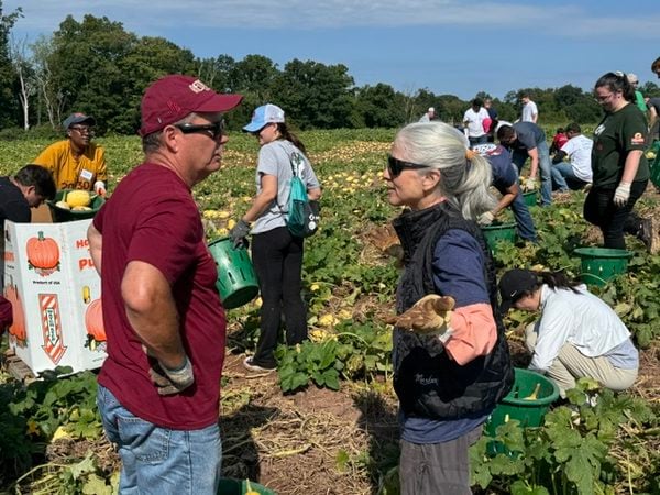 Volunteers harvested nearly 110,000 pounds of squash in 90 minutes in Pittstown and donated $50,000 to support America’s Grow-a-Row hunger relief.