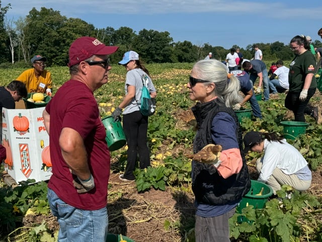 Volunteers Harvest 110,000 Pounds of Squash in 90 Minutes to Help Feed New Jersey Families