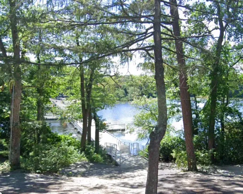A resident’s complaint about people gathering near Lake Carasaljo echoes a long-running Lakewood dispute that once led officials to remove trees and benches from downtown.
