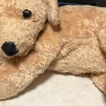 Photo caption: A stuffed dog that helped comfort its owner after the loss of her baby brother went missing during a trip through Cape May and Wildwood.