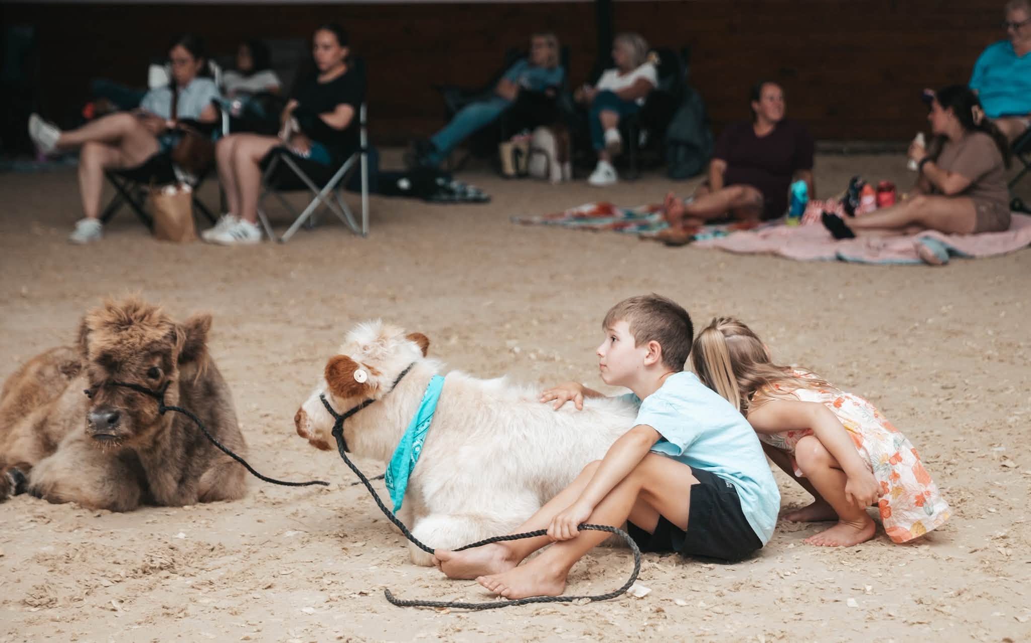 Want to Watch a Movie With The Cows? This New Jersey Farm Is Hosting a Spooky “MOOOvie Night”