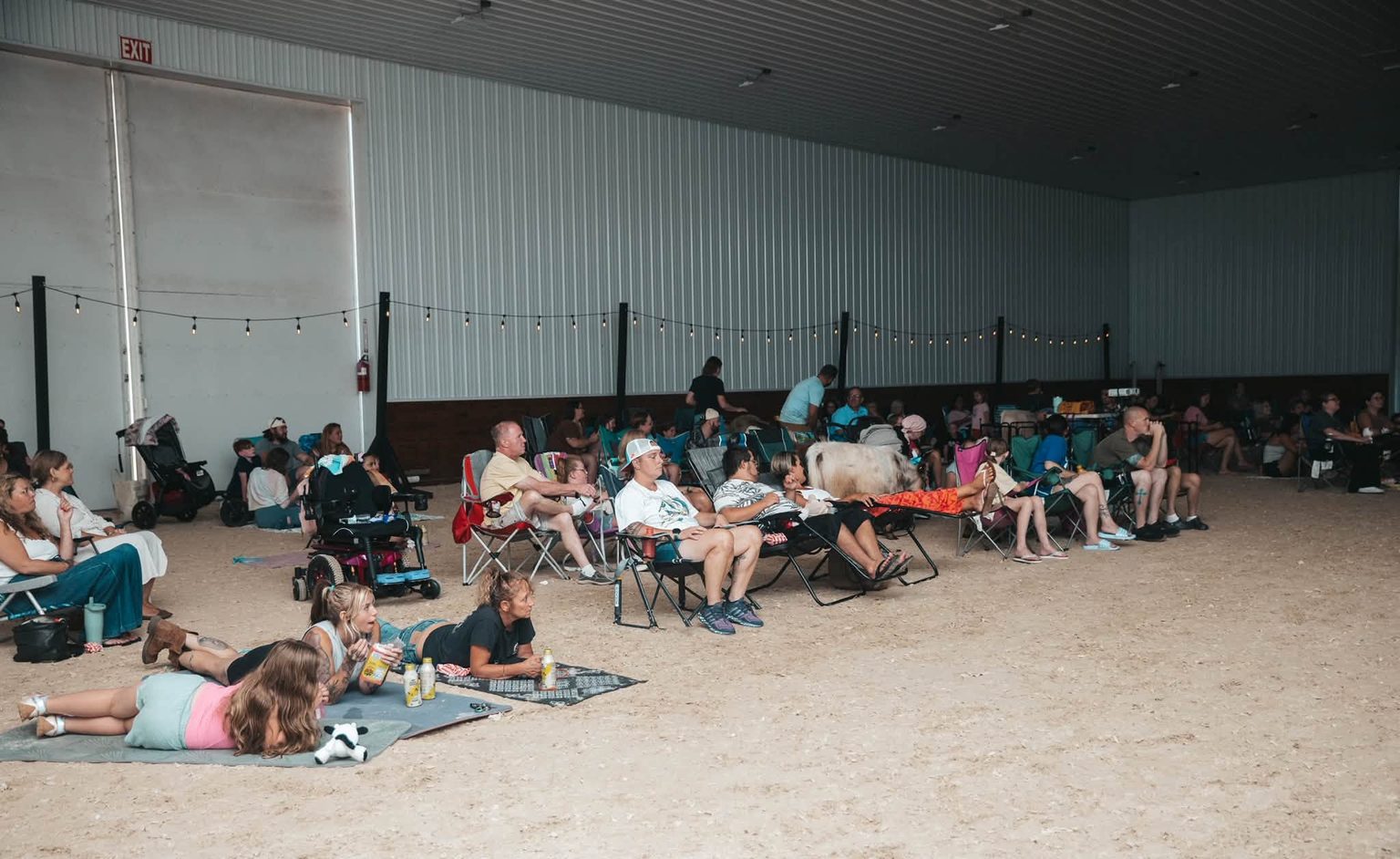 Mini Lullsr Want to Watch a Movie With The Cows? This New Jersey Farm Is Hosting a ...