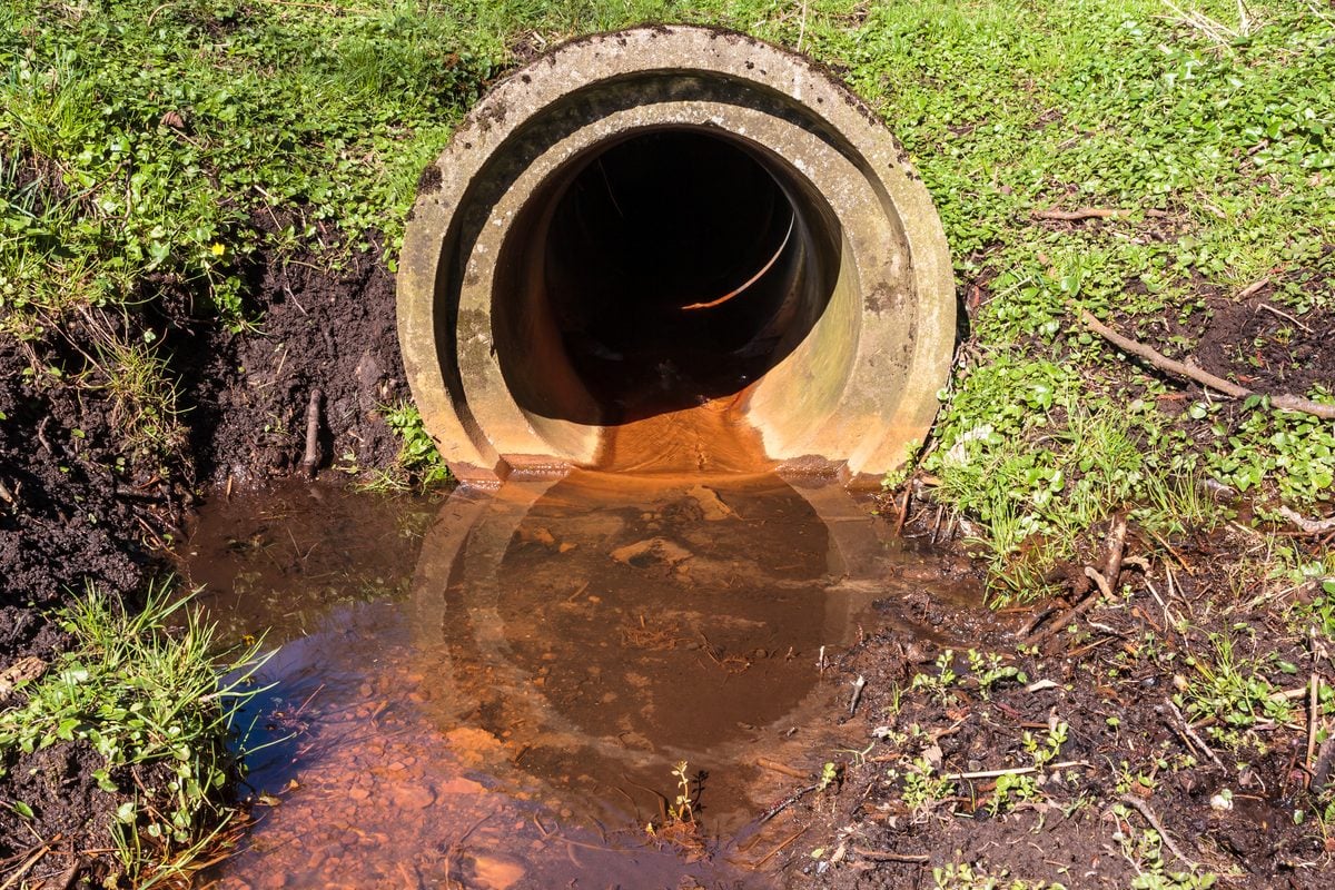 Sewer drain pipe.
