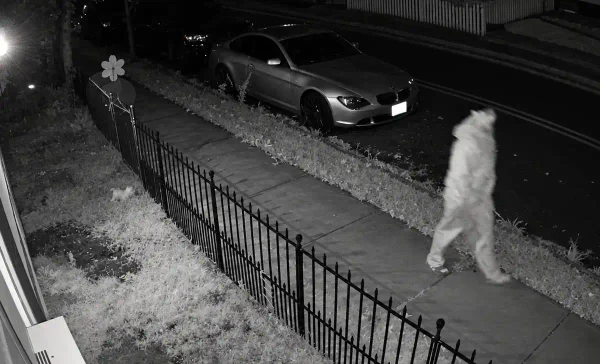 Mercer County investigators are seeking a person of interest after a 34-year-old woman reported a sexual assault in Hightstown on Sept. 11.