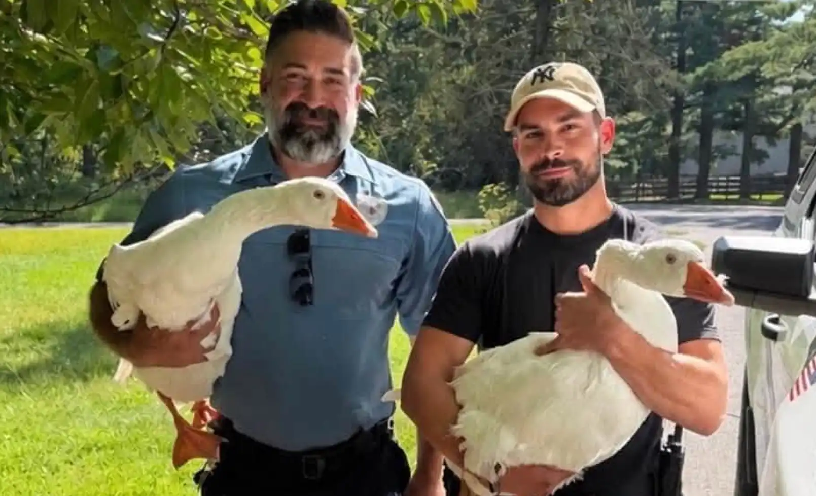Taco and Churro, two beloved Deal Lake geese, are safely back in Asbury Park after a social media search traced them to a Warren County farm.