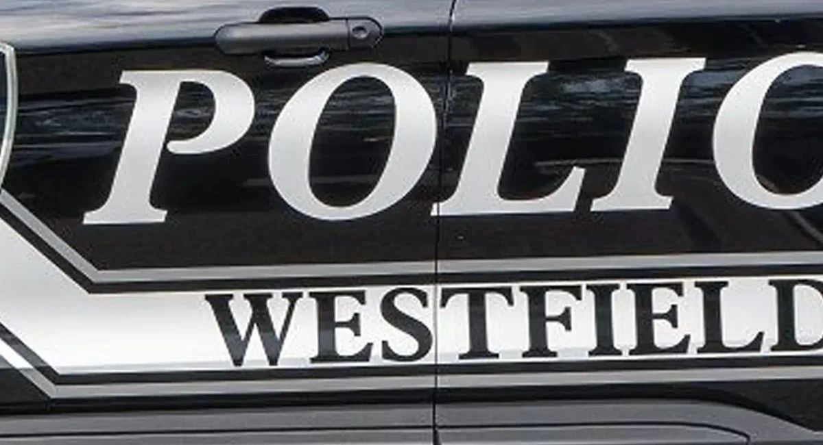 House cleaner accused of stealing more than $100,000 from westfield homes Westfield nj police