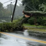 Fallen tree and wires shut down christian herald road in clarkstown
