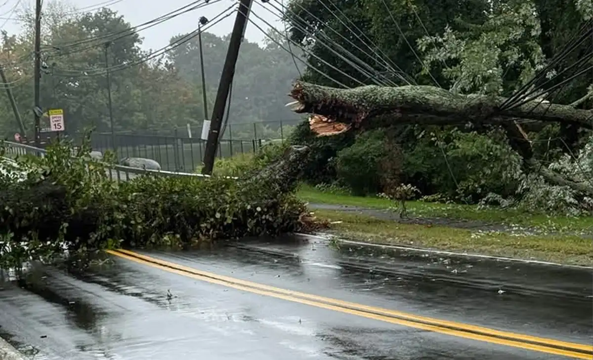 Fallen tree and wires shut down christian herald road in clarkstown Christian herald road is closed in both directions in clarkstown after a tree and wires came down, with the closure expected to last several hours.