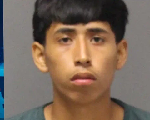 A 19-year-old Peruvian national is jailed without bail in Ocean County on drug distribution, conspiracy and weapons charges with an immigration detainer.