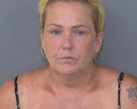 A grandmother faces a child abuse charge after deputies say she left her 8-month-old granddaughter in a hot car for about 10 minutes on a 96-degree day.