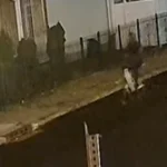Newark police are searching for a suspect who stole cash and bank cards from an unlocked vehicle before fleeing on a bicycle along 16th Avenue.