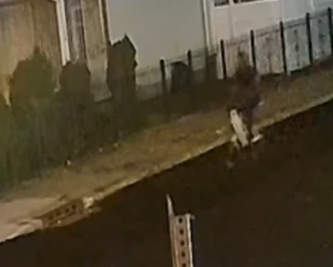 Newark police are searching for a suspect who stole cash and bank cards from an unlocked vehicle before fleeing on a bicycle along 16th Avenue.