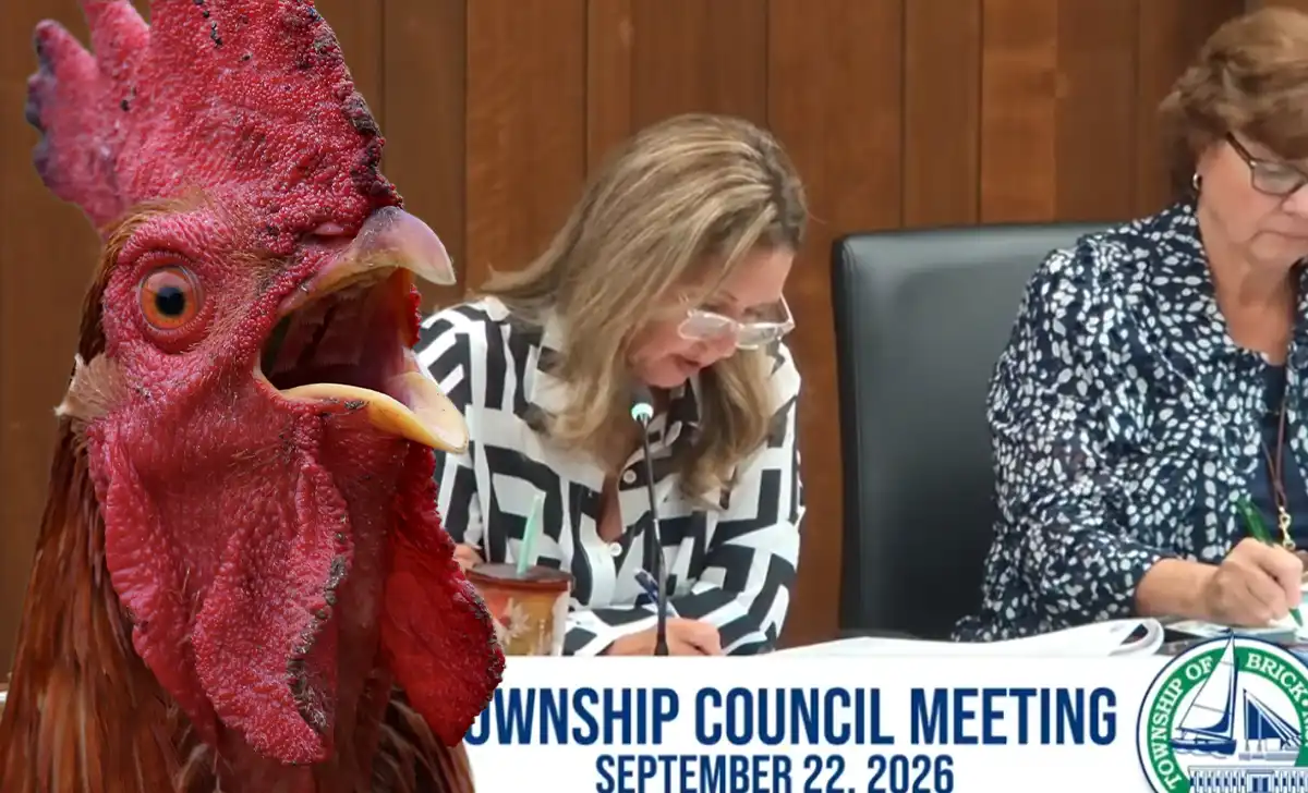 Brick Township is banning new roosters after repeated neighborhood complaints, while existing permitted birds and enclosures will be grandfathered.