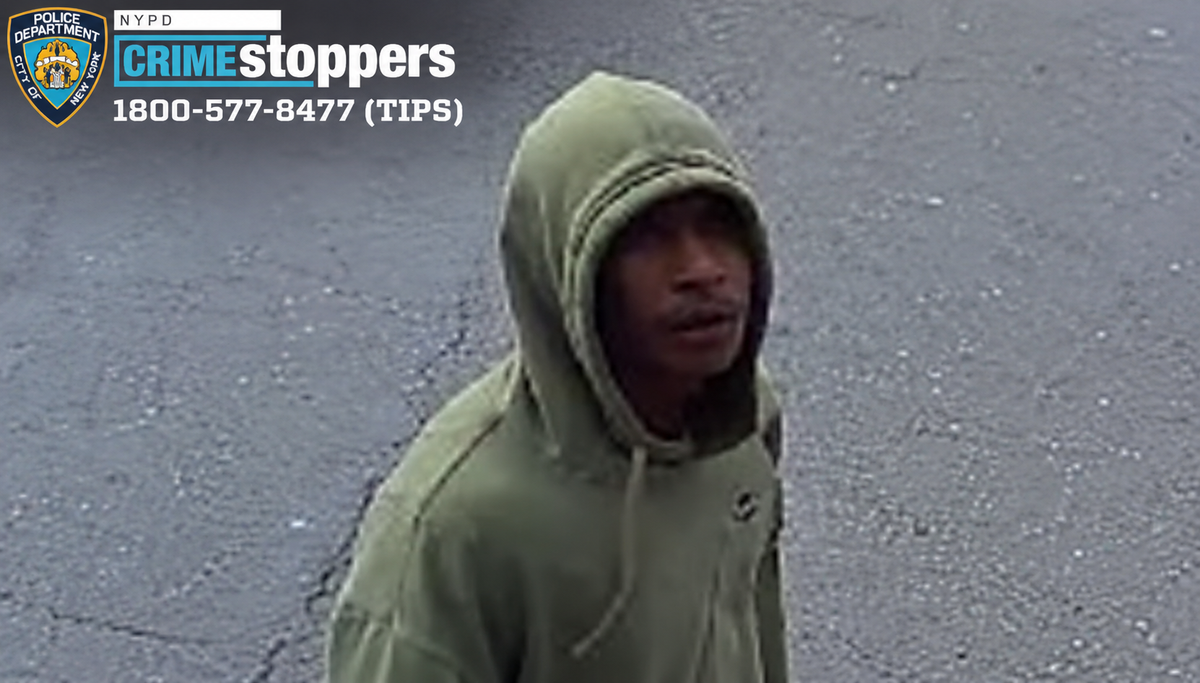 Elderly couple attacked, robbed in staten island park as trio flees to ferry