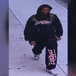 Man shot after confronting suspect stealing work supplies in bronx building